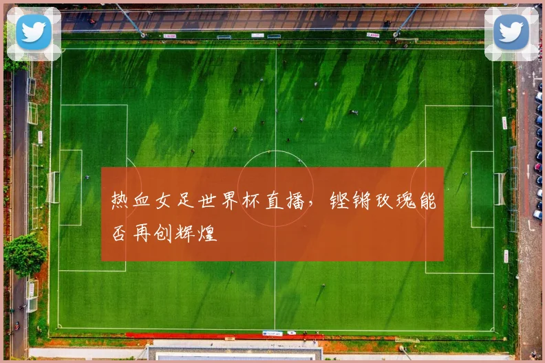热血女足世界杯直播，铿锵玫瑰能否再创辉煌